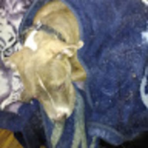 Meet your Posher, Aimee